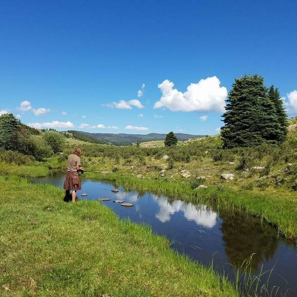 Meet your Posher, Brian - Picture 1 of 1